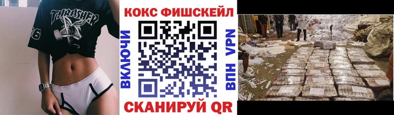 Купить Микунь Cocaine 98%