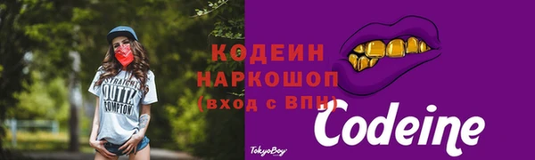 apvp Горняк