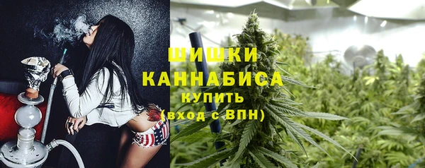 apvp Горняк