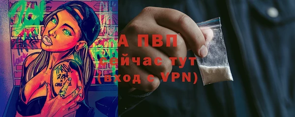 apvp Горняк