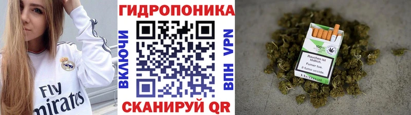 Конопля Amnesia Купить Микунь